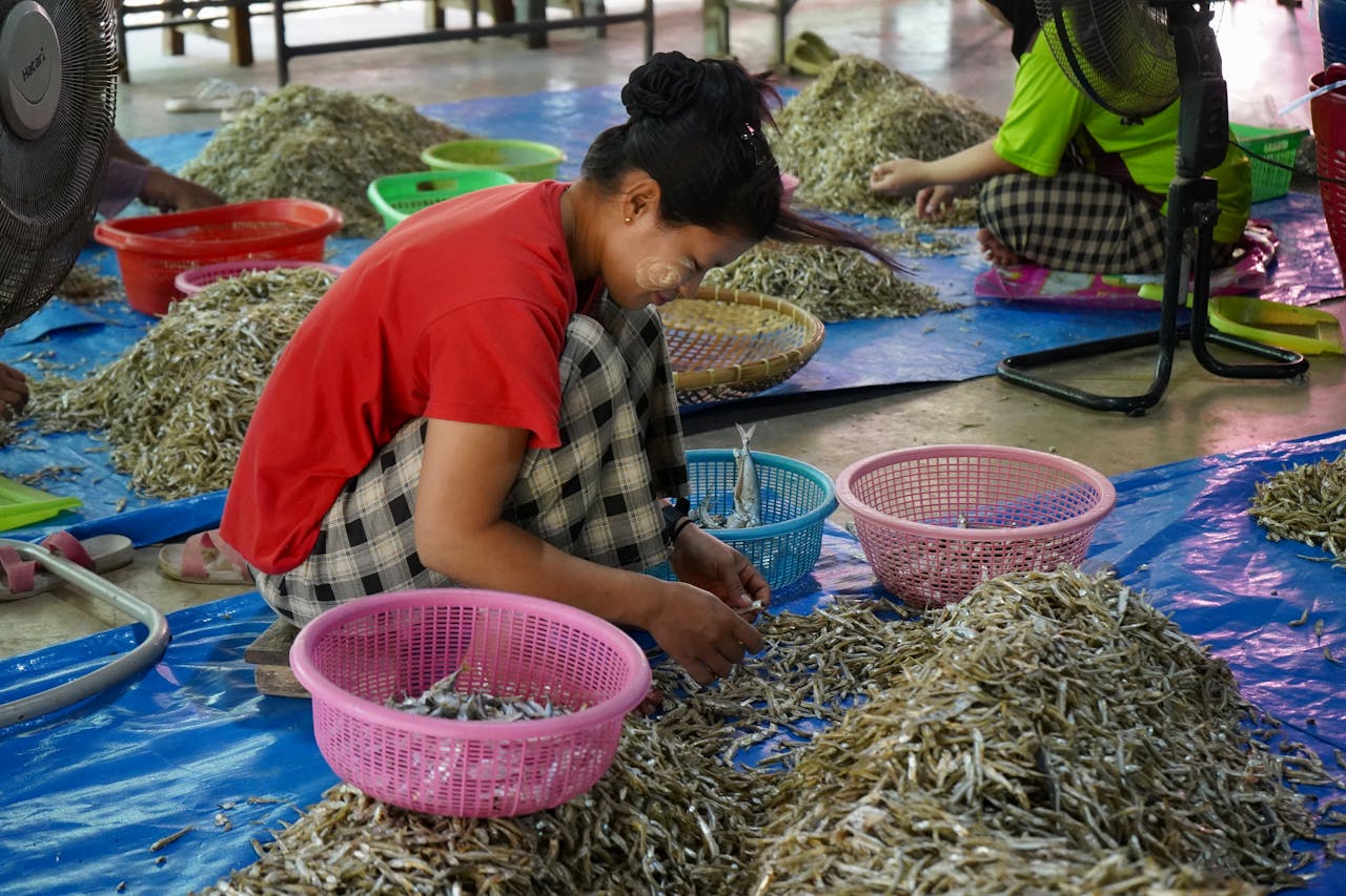 Women sorting dried fish in colorful baskets indoors at a traditional market.
